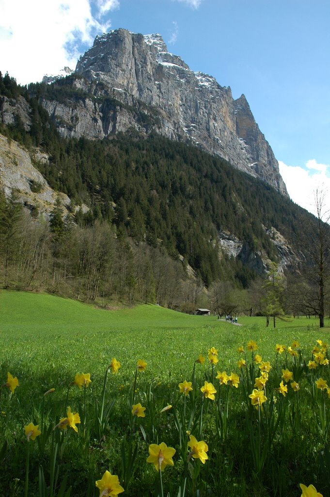 Verso le cascate Trummelbach by Luca Rosso