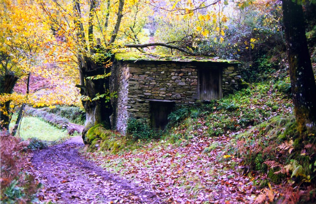 Sequeiro na Rogueira. Serra do Caurel. by Seara