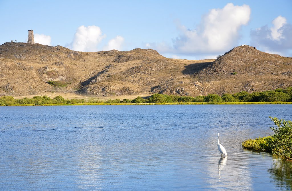 Laguna y Faro de El Gran Roque by Rafael Eduardo Castellano