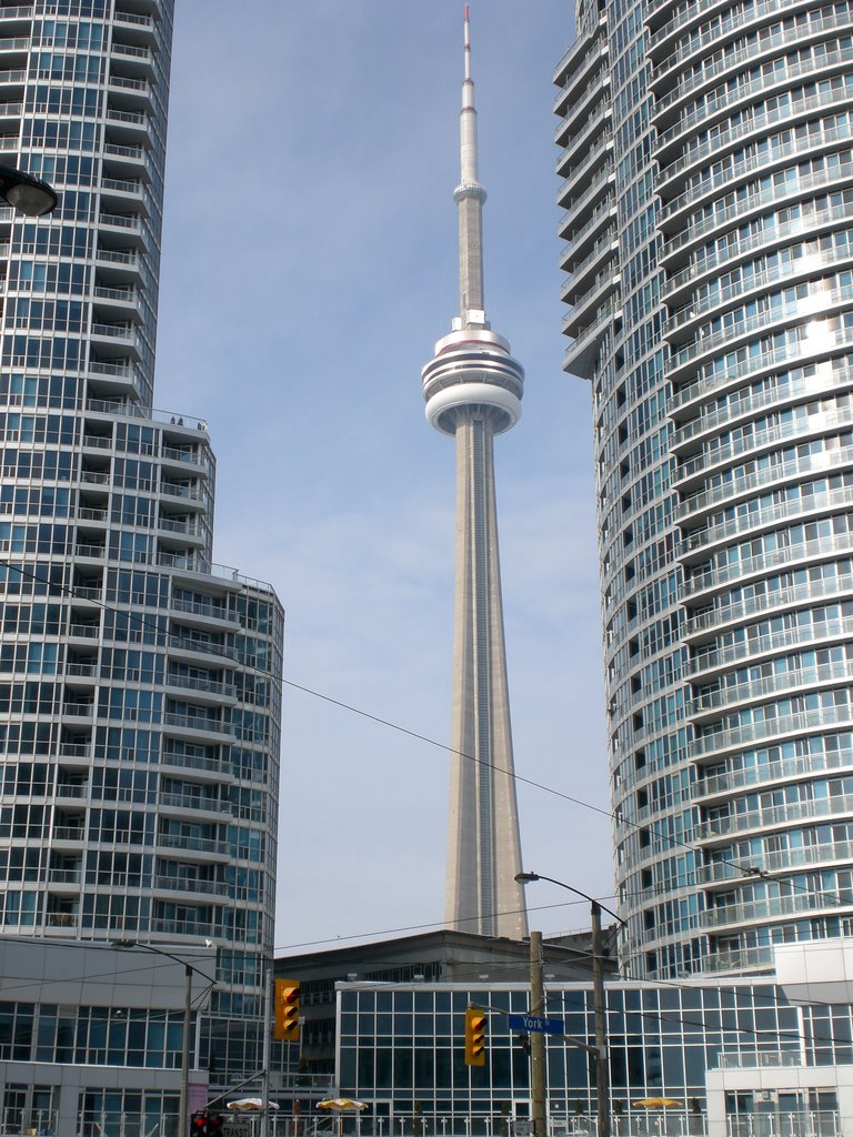 The CN Tower by bsanjuan