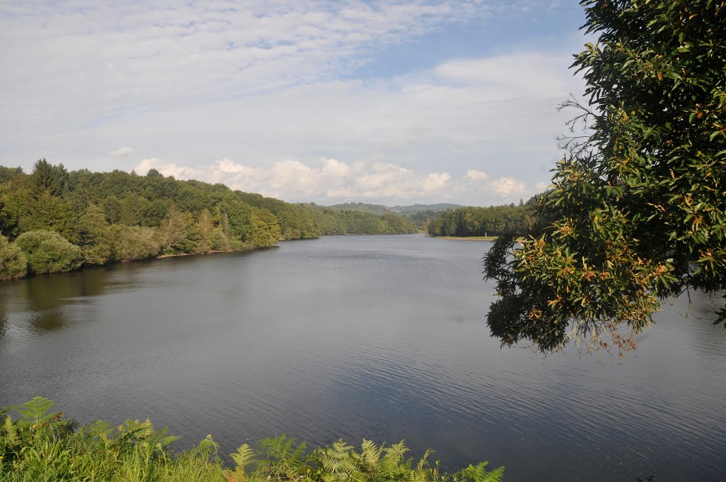 France Limousin Bujaleuf lac de Sainte Hélène by THéVENAZ Claude