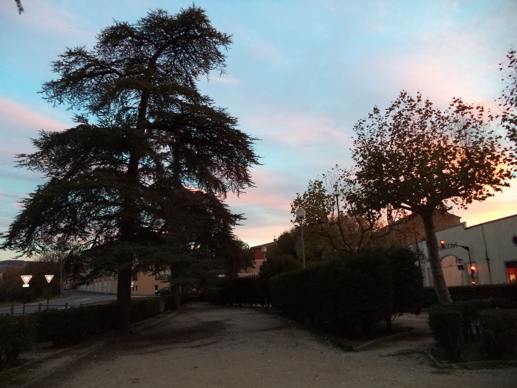 Le jardin public de la gare by mheyona