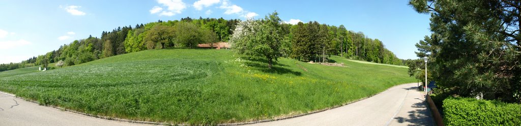 Kastellstrasse richtung Waldrand Panorama (Buchs ZH, Mai 2008) by Nils Wanner