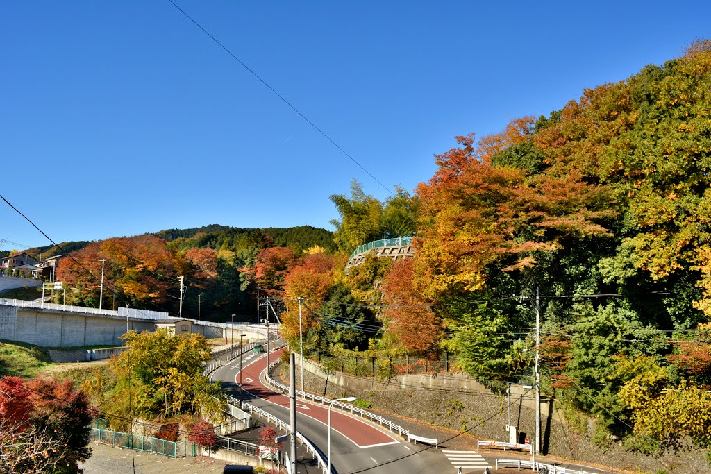 秋のあきる野　秋川街道 by nkmroioikkkz