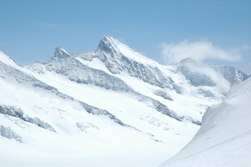 Fiescherhorn dal Monchsjochhutte by Luca Rosso