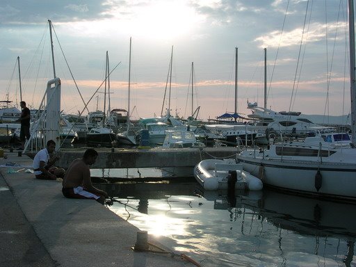 Bar, Marina by vilajadran