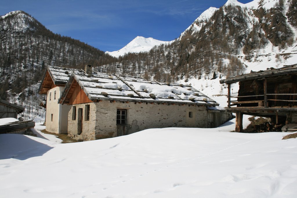 Edifici tradizionali a Malga Fane by Francesco Giacomoni