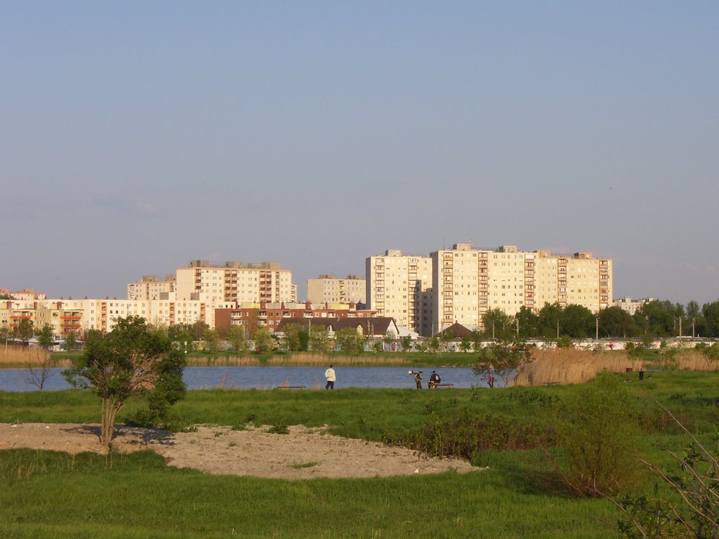 Székesfehérvár, Hungary by Gáspár Norbert Pál