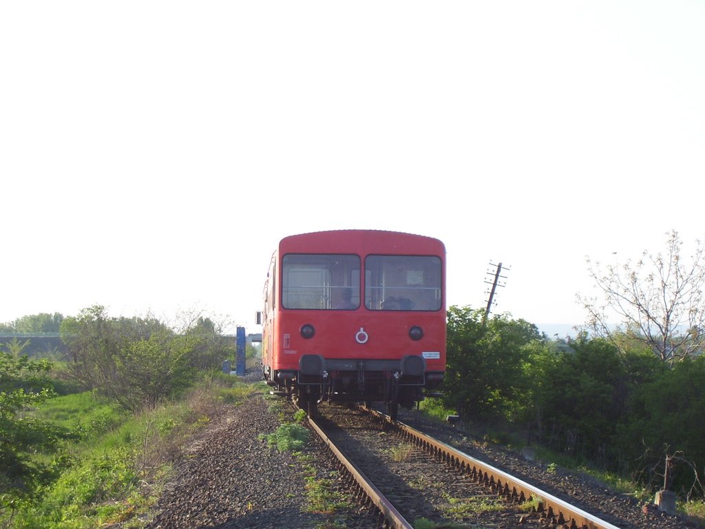 Székesfehérvár, Hungary by Gáspár Norbert Pál