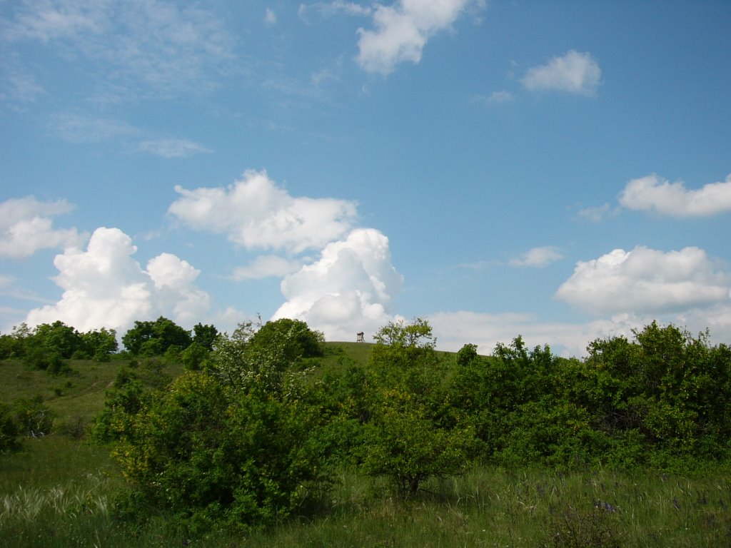 Csákvár, Hungary by Gáspár Norbert Pál