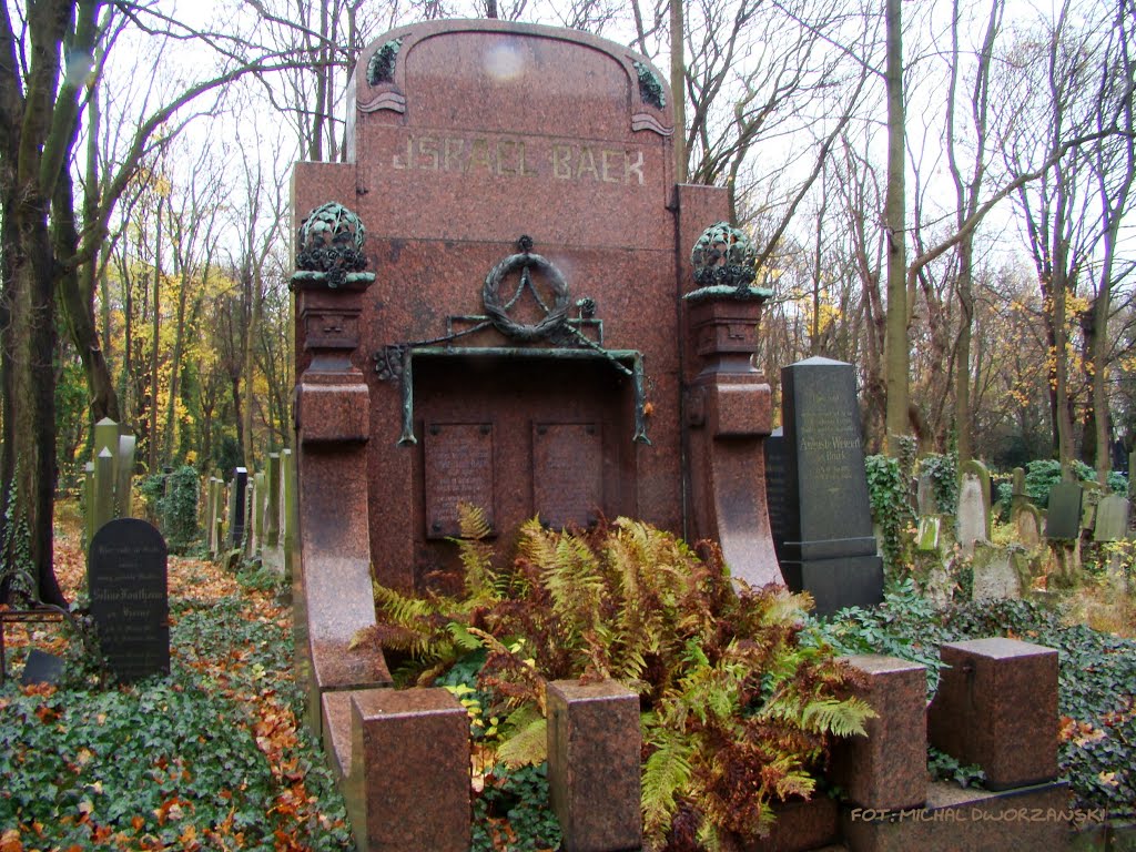 Berlin - cmentarz żydowski - Jewish cemetery by Dworzanski.Gryfino