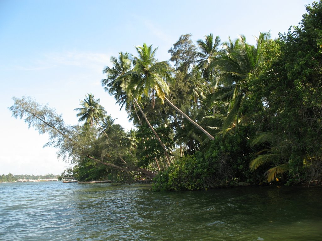 Bentota River by Elena Zakamaldina