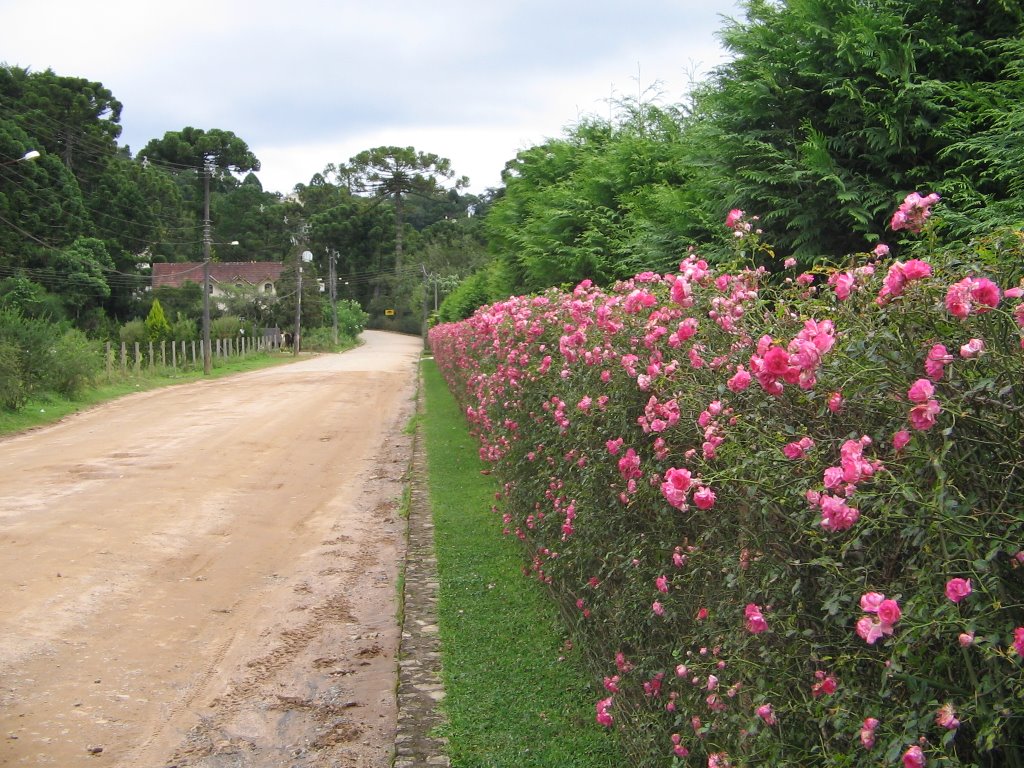 Estrada da Pousada by Luciano Lobo