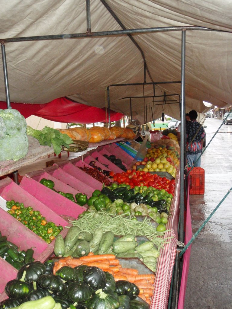 Street vendor Puerto Morelos by dwnicks