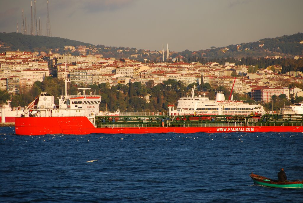 Palmali Armada Leader, Sea of Marmara by Daniel Massey