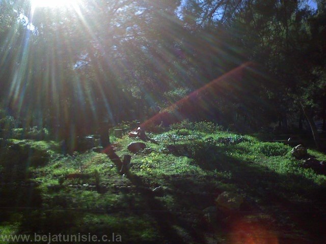 Parc de Béja المنتزه الحضري by adnen1985