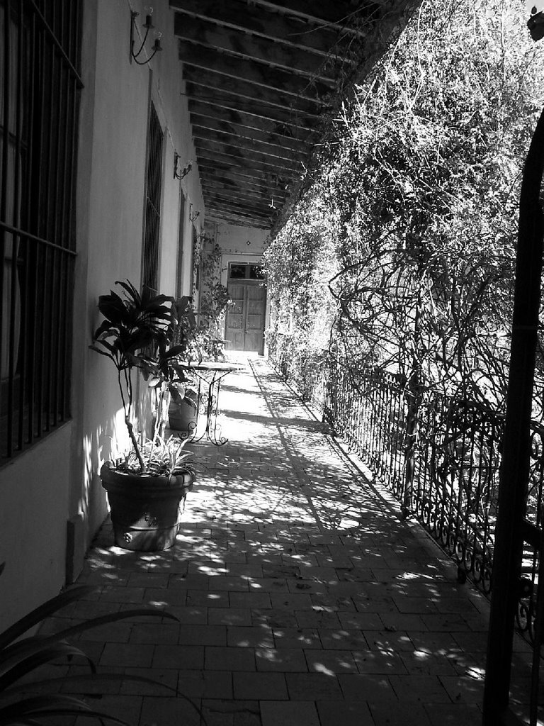 "Balcón al paraíso" (Hotel Concordia - Galería patio posterior) by Ed. Rodríguez Prati