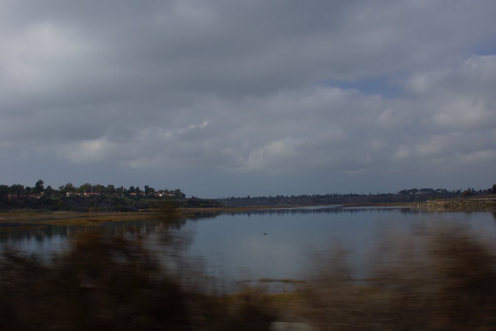 2013, Upper Newport Bay, San Diego Creek by tceng