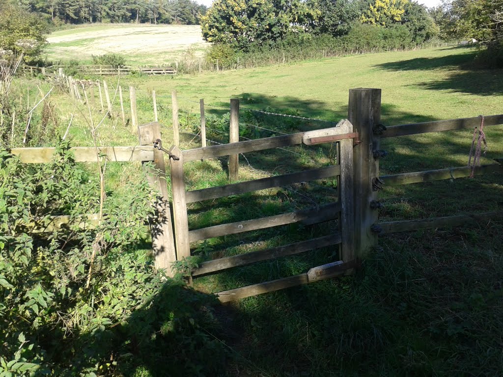 Stile, Wood, Gate by Mummervideo