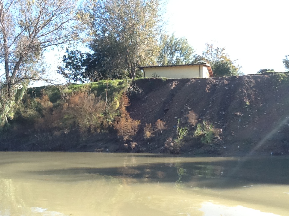 In riva destra si osserva un manufatto in muratura apparentemente di recente edificazione, inoltre si evidenziano movimenti di terra in golena. by monitoraggiotevere