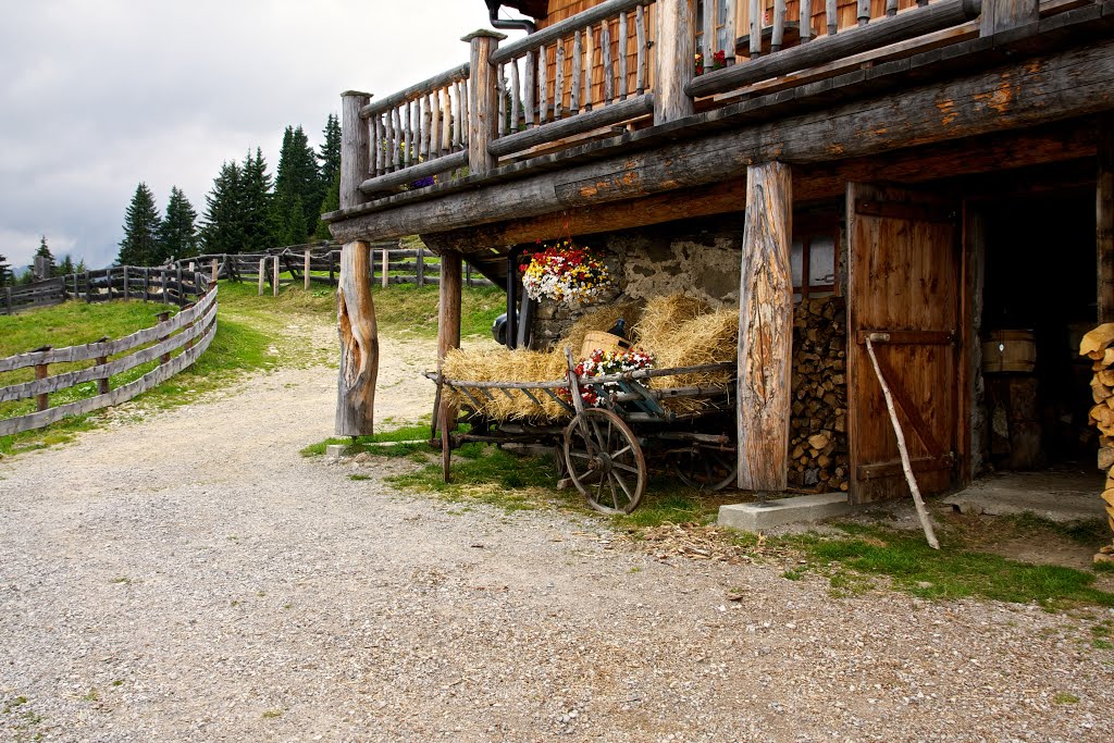 Ländliche Idylle an der Roaner-Alm by Muntanella