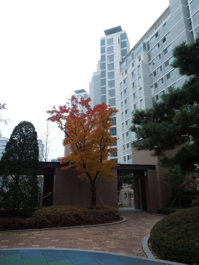 Gyodae Daelim Condominium 서초교대E편한세상아파트 by plumgarden