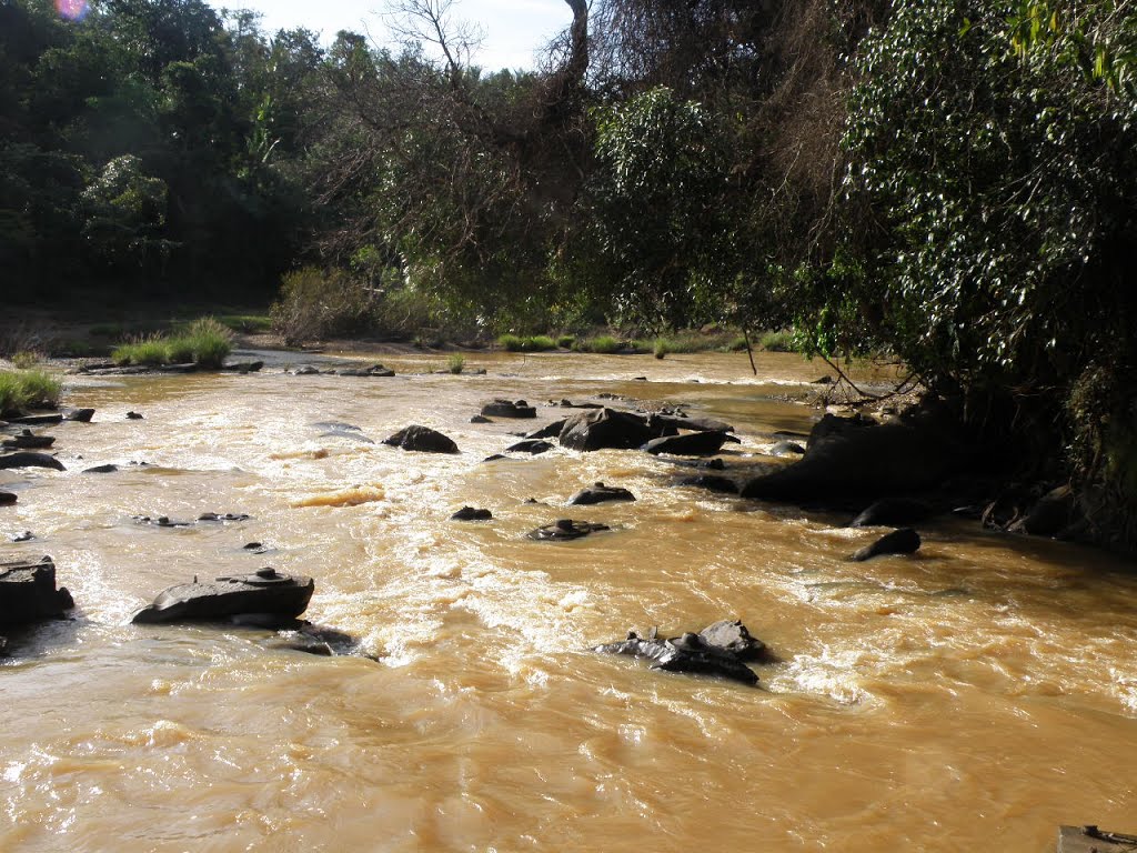 Thousands of lingas Carved on the stones in the riverbed at Sahasraling Sirsi by Tushar Jadhav