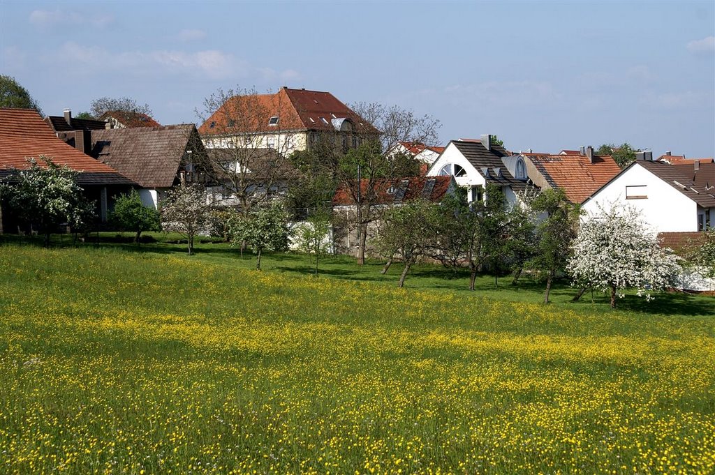 Völkersbach by Augenstein