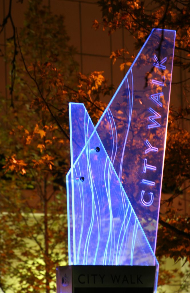 City walk street sign - Canberra by Paul Strasser