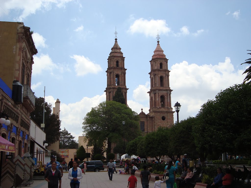 JARDIN EN EL CENTRO DE SAN LUIS DE LA PAZ by ROBERTO-CCV