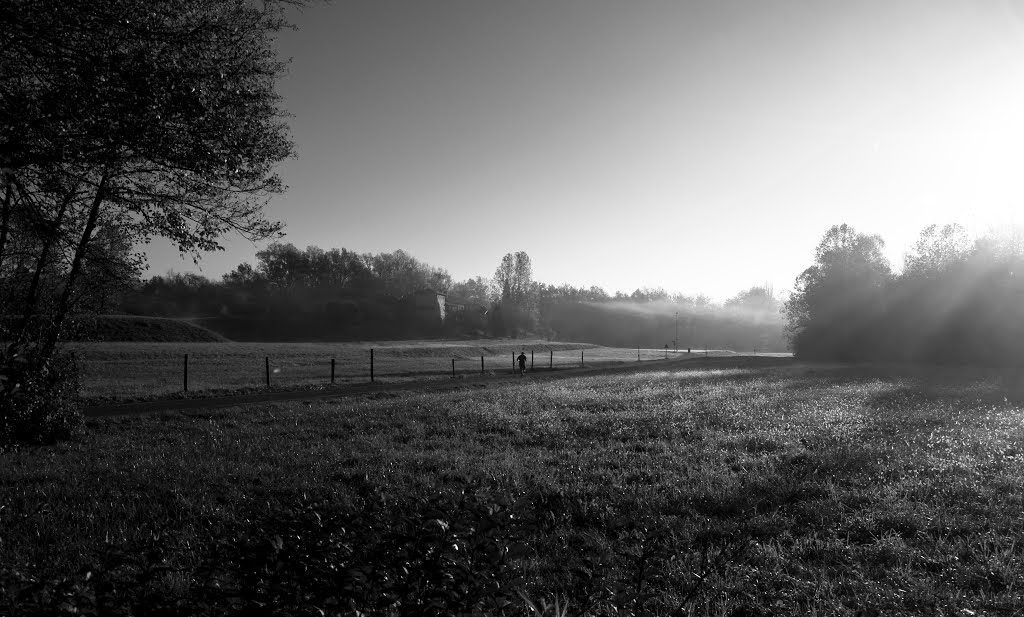 Runner by Stefano Dell'Orto