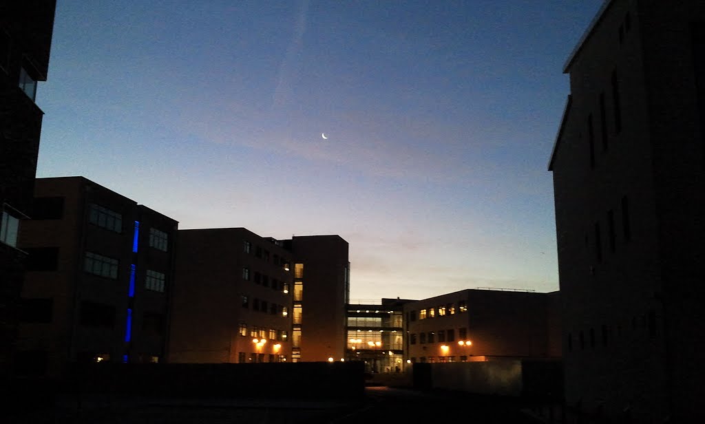 New moon at dawn by LanzaroteCamel